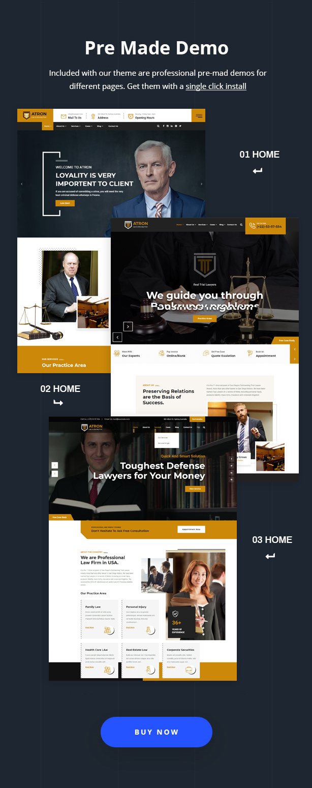 ATRON || Attorney & Lawyers WordPress Theme - 7