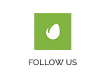 Shoom |  Mehrzweck-Kreativ-WordPress-Theme für Mehrzweck – 1