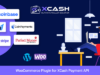 XCash – WooCommerce-Plugin mit Zahlungs-API