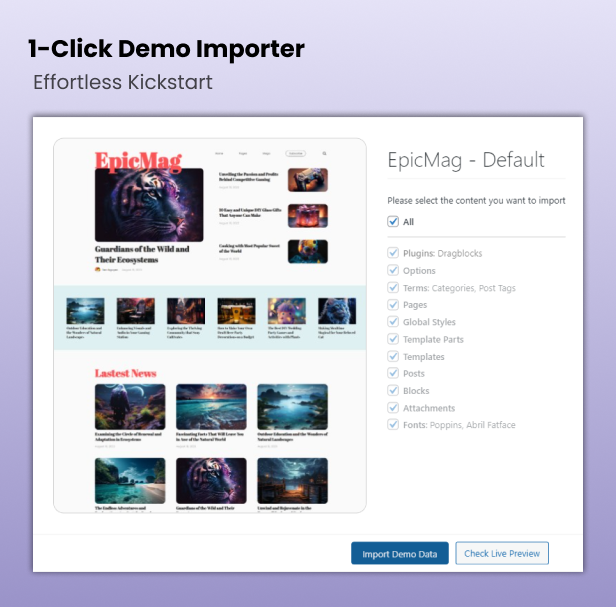 1-Klick-Demo-Importer – müheloser Kickstart