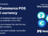 WooCommerce POS-Mehrwährung