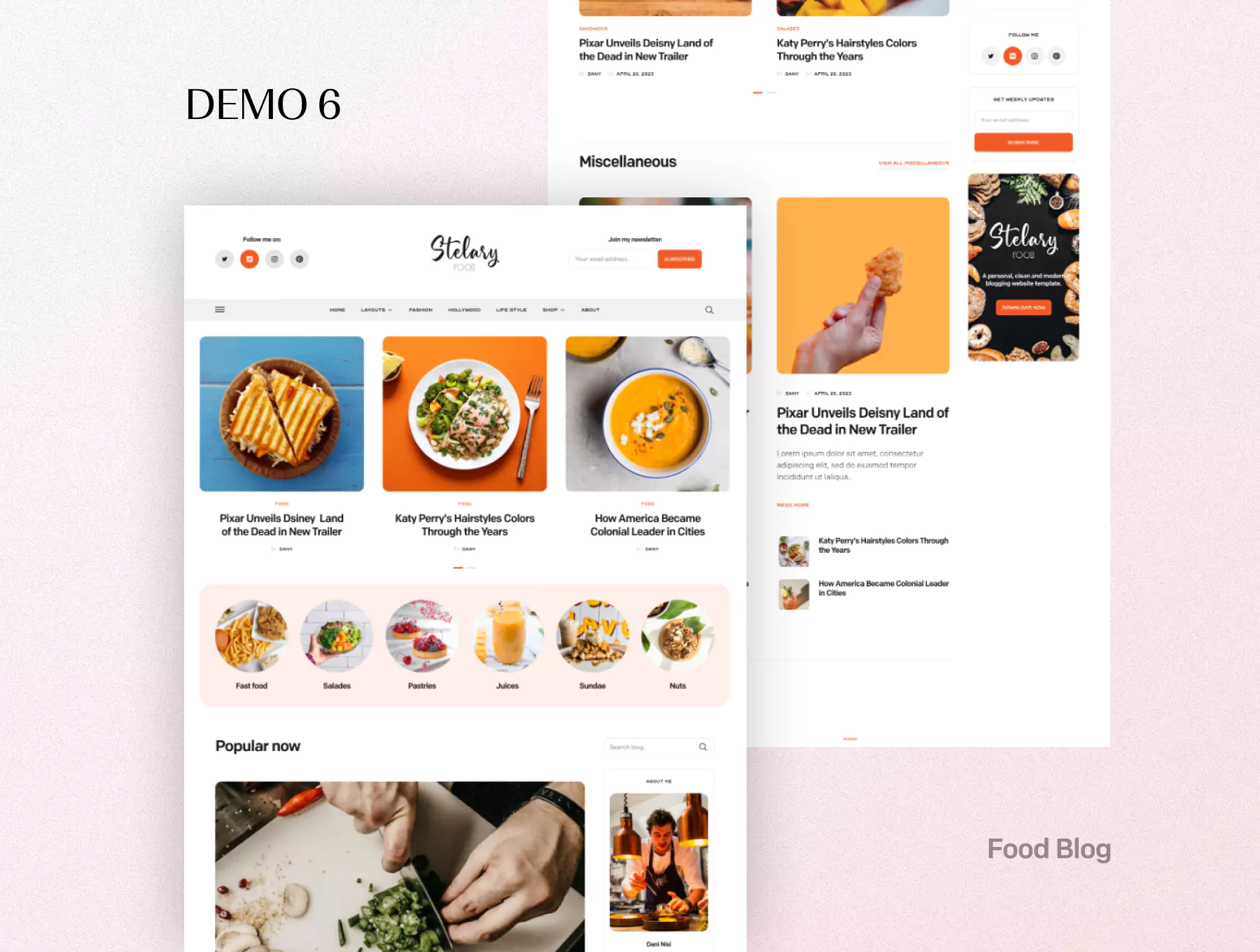 Stelary – Blog- und Magazin-WordPress-Theme – 16