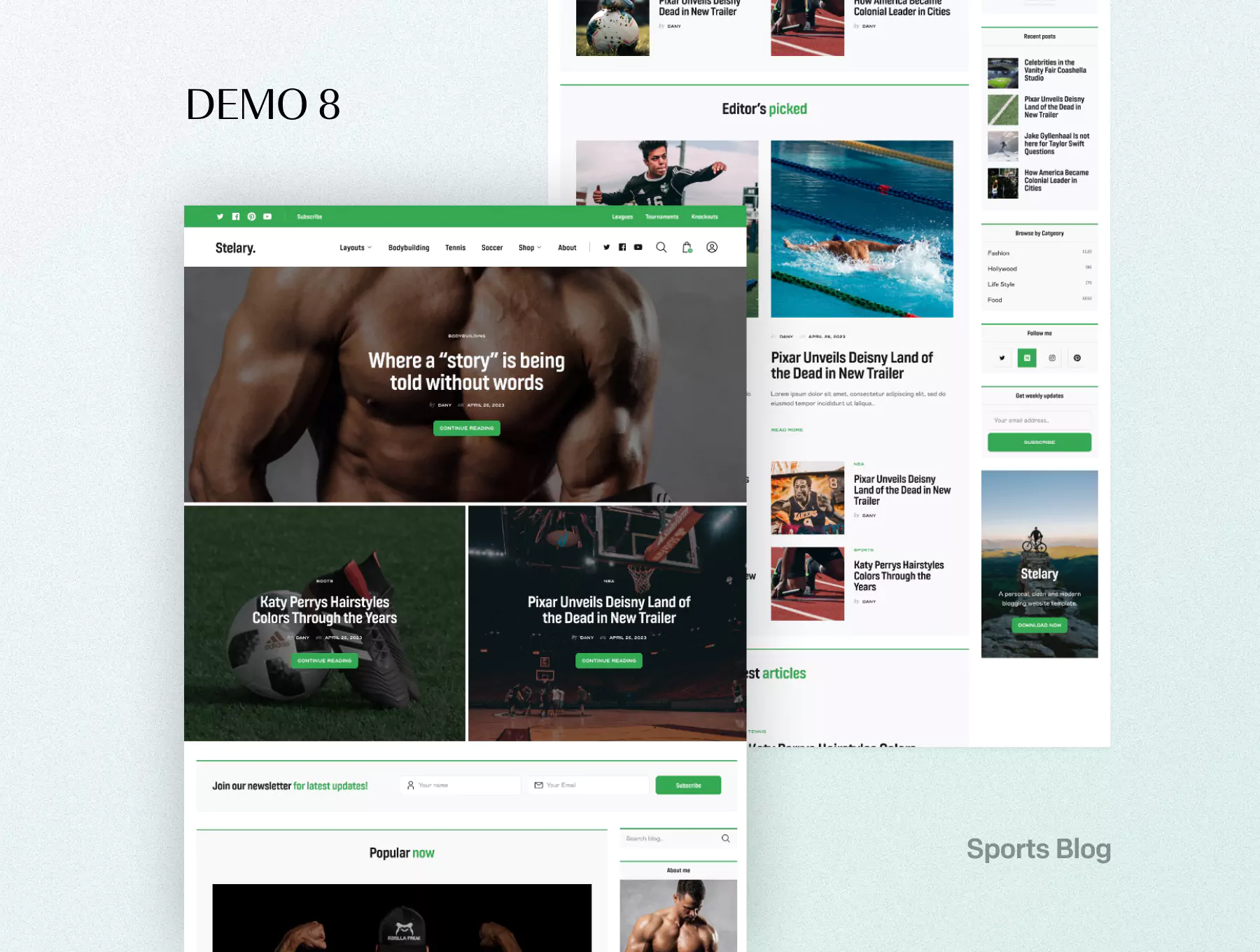 Stelary – Blog- und Magazin-WordPress-Theme – 18