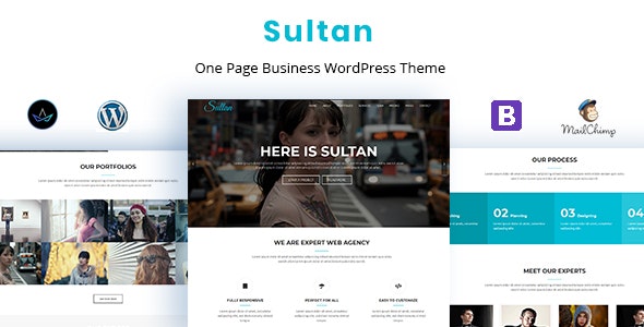 Sultan – Einseitiges Business-WordPress-Theme
