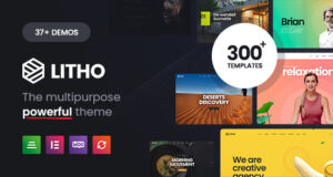 Litho – Multipurpose Elementor WordPress Layout