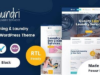 Aundri – Trockenreinigungsdienste WordPress Layout + RTL