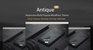 Antique – Responsives persönliches Portfolio-WordPress-Vorlage