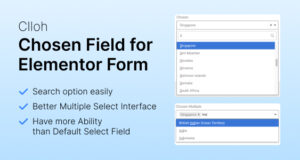 Clloh ausgewähltes Feld für Elementor-Form