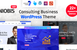 NioBis – Beratungs-WordPress-Layout