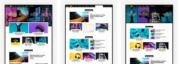 SpotMag – Pro-Mitgliedschaft und Magazin-WordPress-Theme – 2