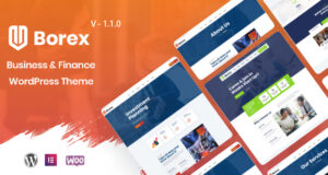 Borex – WordPress-Template für Wirtschaft und Finanzen