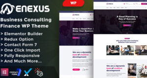 Enexus – Beratungsgeschäft – Elementor-WordPress-Vorlage