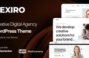 Vexiro – Kreative Digitalagentur und Portfoliothema
