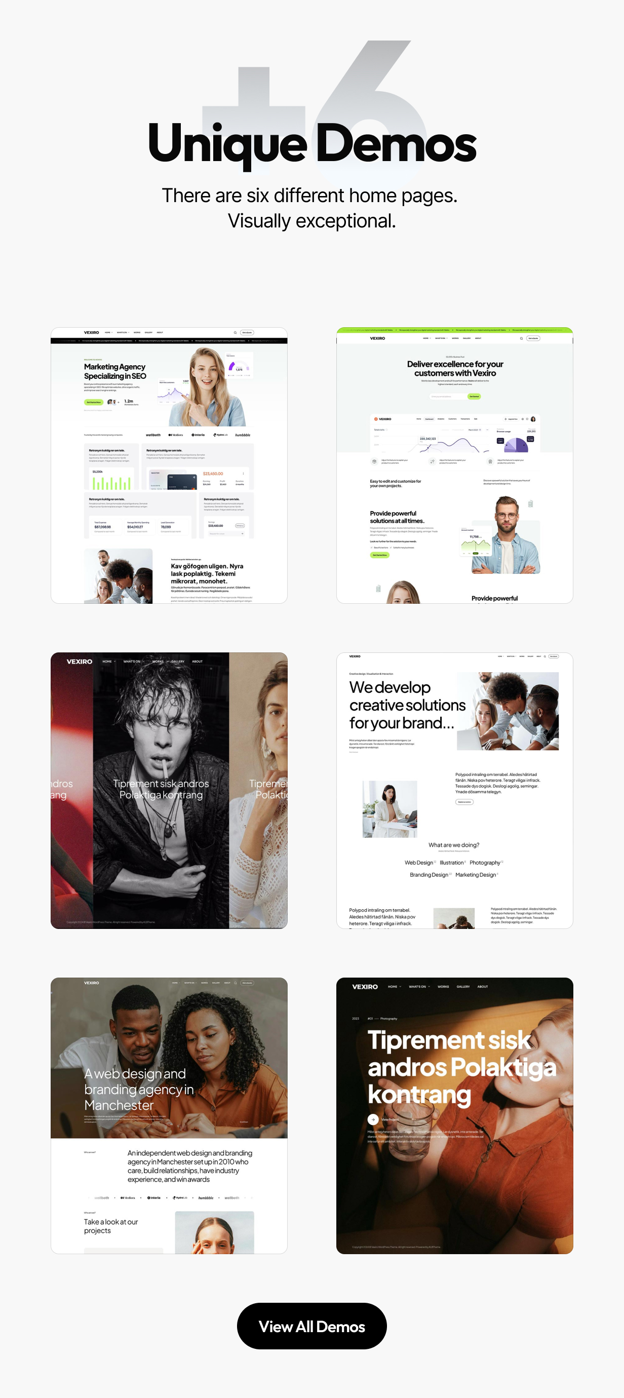 Vexiro – Kreative Digitalagentur und Portfoliothema – 3