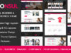 Econsul – Beratungs-WordPress-Layout