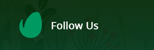 Planteo – WordPress-Theme für Garten- und Landschaftsbau – 1