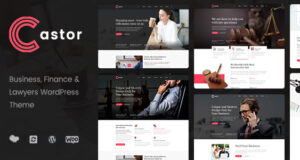 Castor – WordPress-Layout für Unternehmensberatung