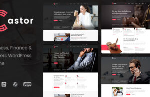 Castor – WordPress-Layout für Unternehmensberatung