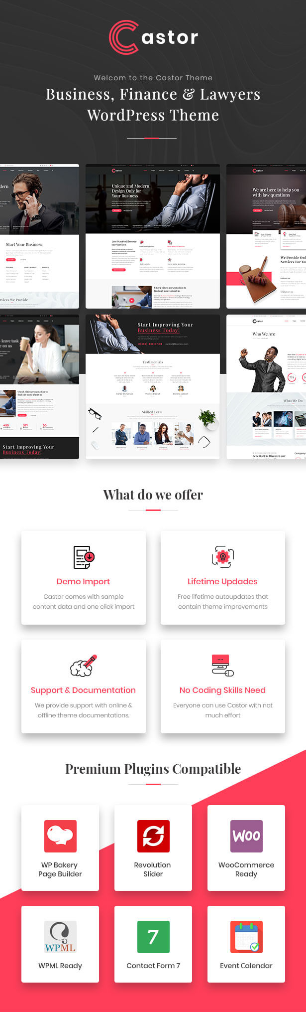 Castor – WordPress-Theme für Unternehmensberatung – 1