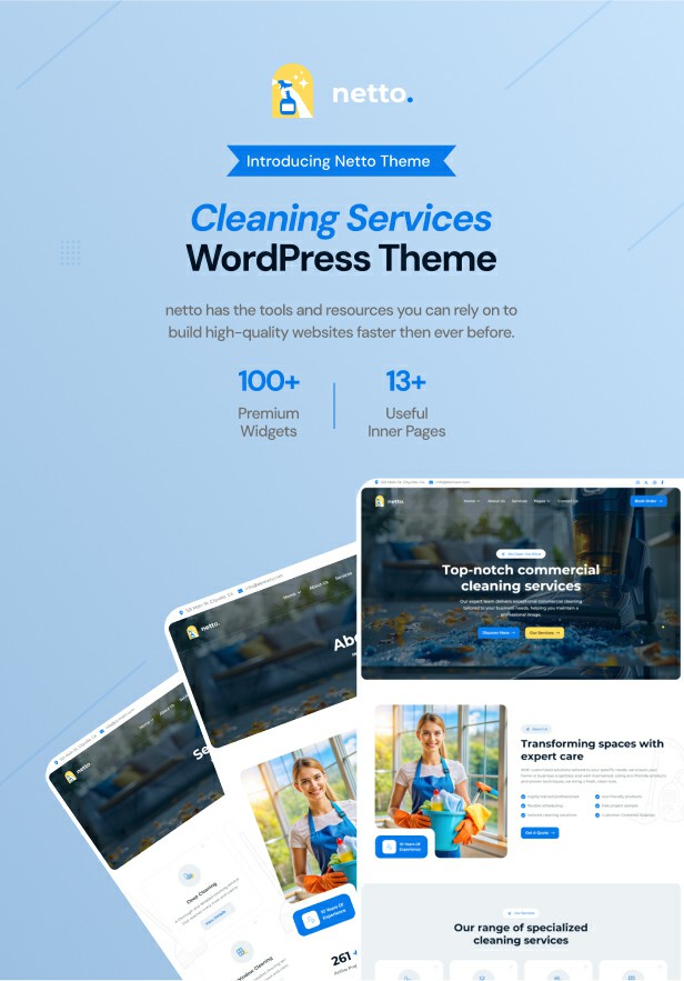 Netto - Reinigung von WordPress -Thema - 3