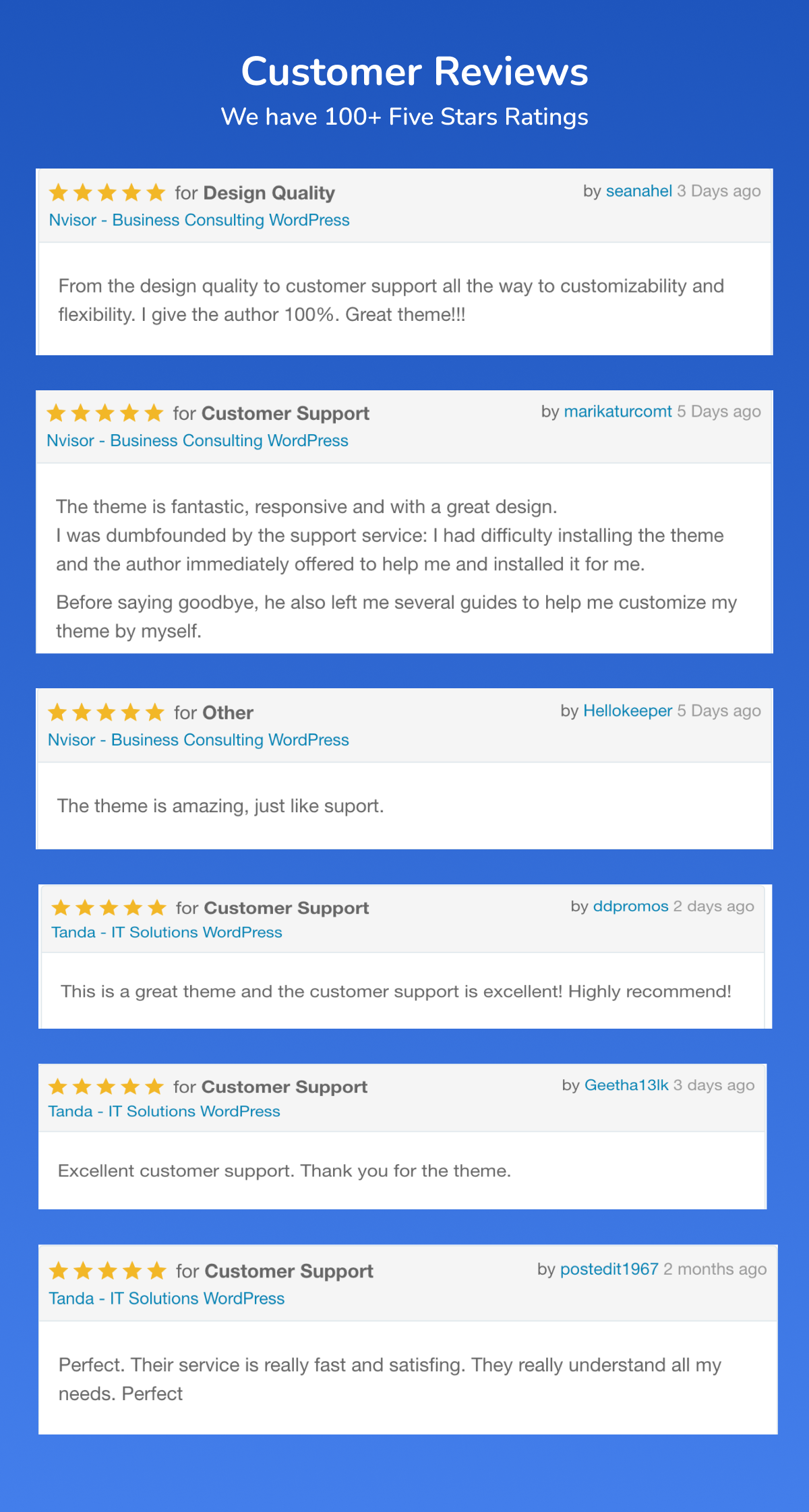 Nvisor - Business Consulting WordPress Thema 2