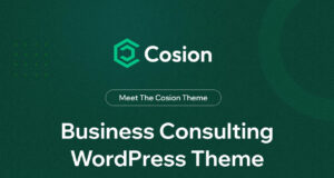 Cosion - Business Consulting WordPress -Thema