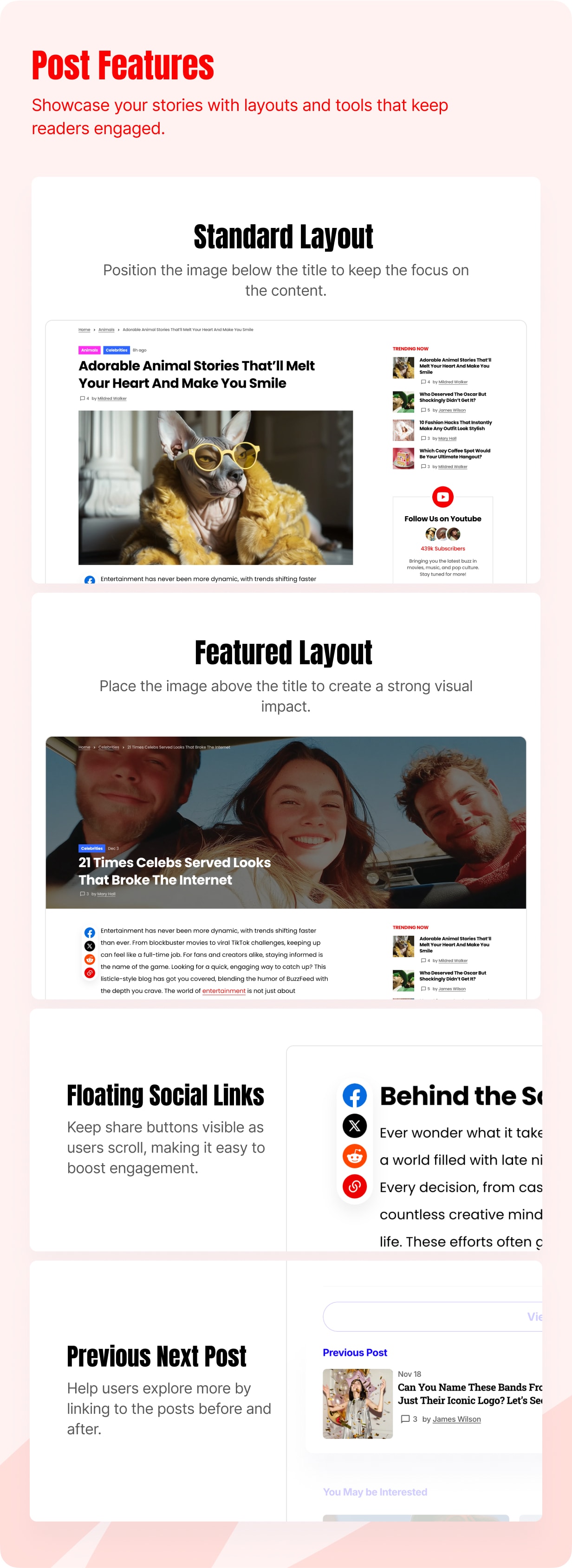 Vyral - WordPress -Viralthema für Blog und Zeitschriften - 10