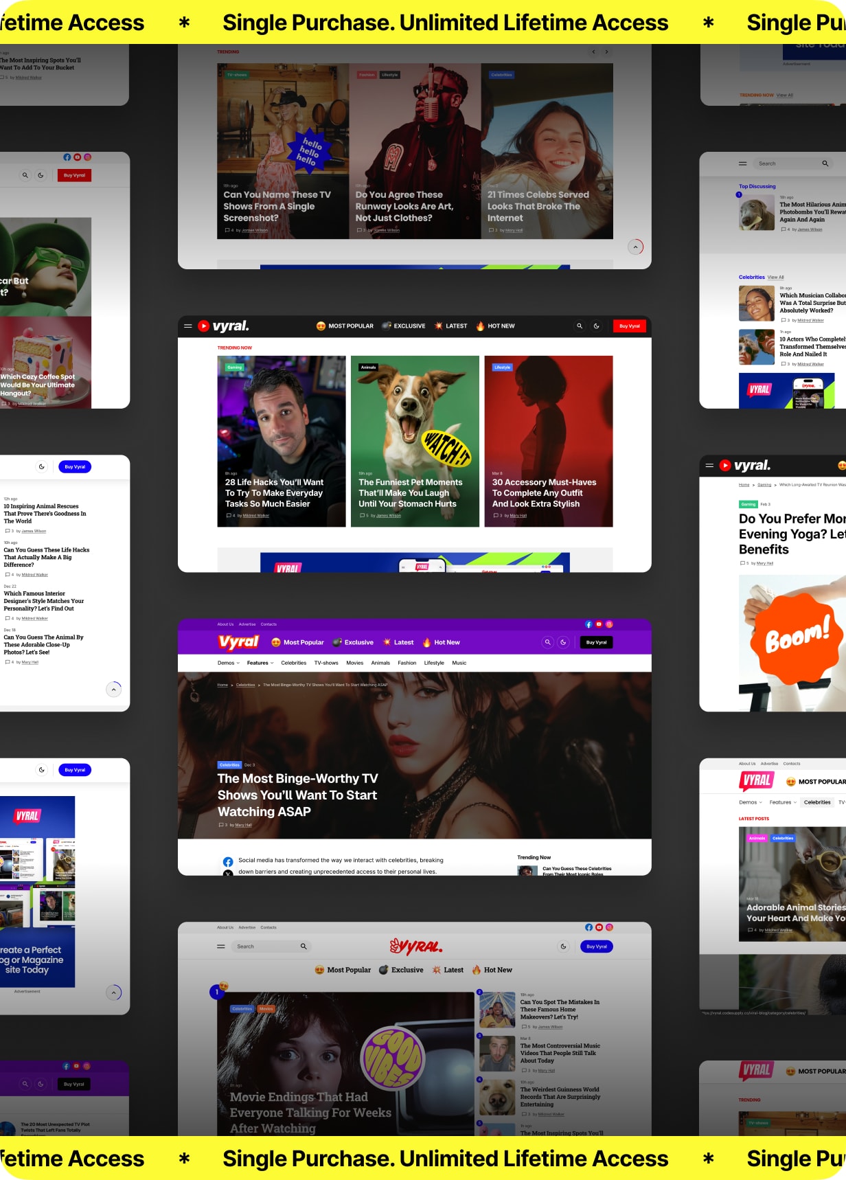 Vyral - WordPress -Viralthema für Blog und Zeitschriften - 3