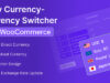 Easy Currency Switcher-WooCommerce Multi-Währungs-Plugin