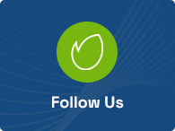 Solaren – WordPress-Theme für Ökologie und Solarenergie