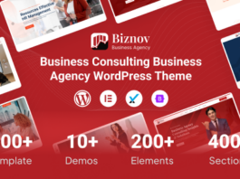 Biznov – WordPress-Vorlage für Unternehmensberatung