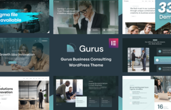 Gurus – WordPress-Layout für Unternehmensberatung