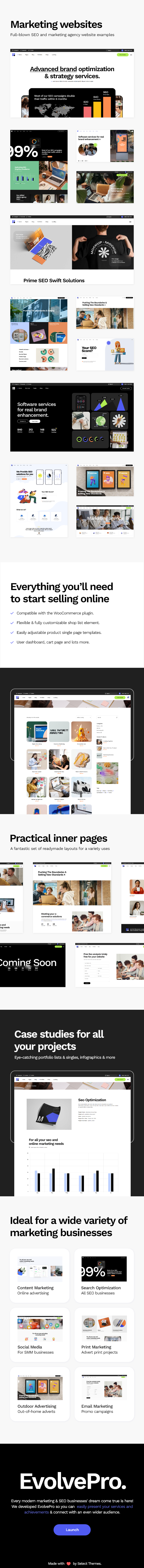 EvolvePro – Marketingagentur und SEO-WordPress-Theme – 1