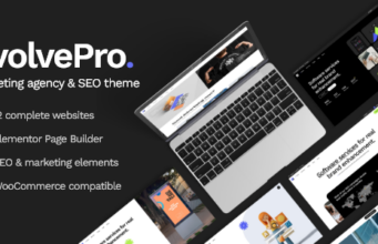 EvolvePro – Marketingagentur und SEO-WordPress-Layout