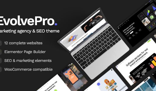 EvolvePro – Marketingagentur und SEO-WordPress-Layout