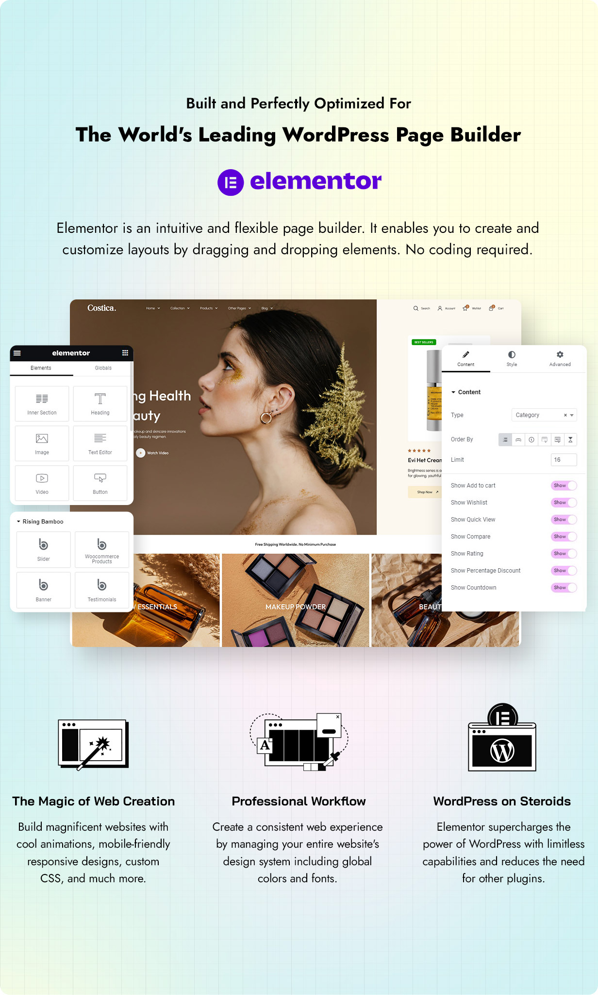 costica – WordPress-Theme – 4
