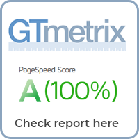 Gicon – Moderner und leichter Blog für WordPress – 3