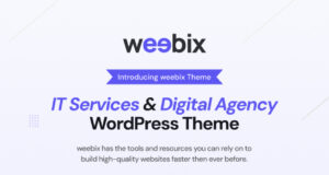 Weebix – WordPress-Layout für Webentwicklung