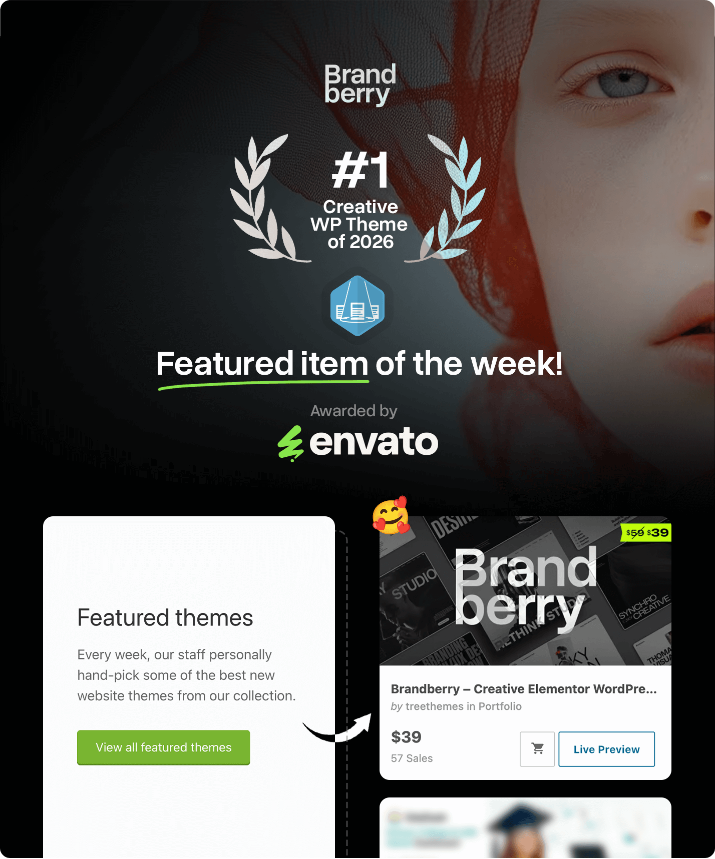 Brandberry – Creative Elementor WordPress Theme – 1
