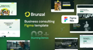 Brunzal – Figma-Vorlage für Unternehmensberatung