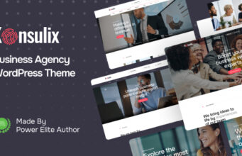 Konsulix – WordPress-Vorlage für Wirtschaftsagenturen