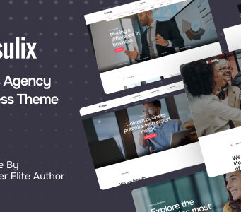 Konsulix – WordPress-Vorlage für Wirtschaftsagenturen