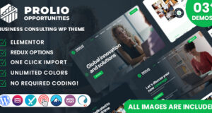 Prolio – WordPress-Vorlage für Unternehmensberatung