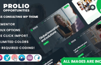 Prolio – WordPress-Vorlage für Unternehmensberatung