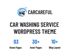 Carcareful – Autowasch-WordPress-Layout
