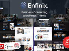 Enfinix – Beratungs-WordPress-Layout