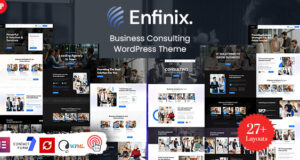 Enfinix – Beratungs-WordPress-Layout