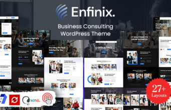 Enfinix – Beratungs-WordPress-Layout