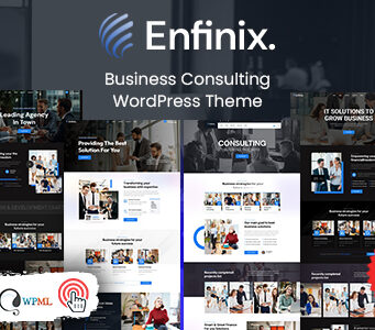 Enfinix – Beratungs-WordPress-Layout