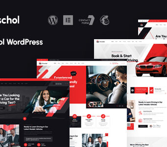 Drivschol – WordPress-Layout für Fahrschule